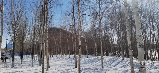 【仰望天空】雪后晴空