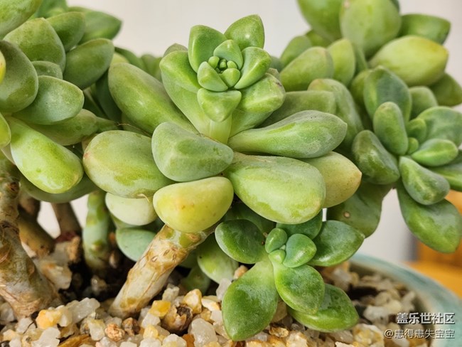 #你好，二月——春天來了