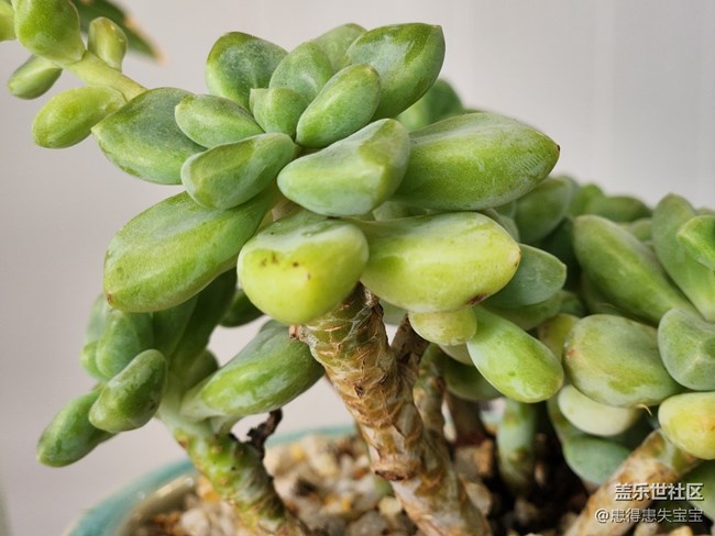 #你好，二月——春天來了