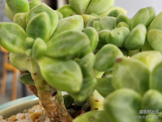 #你好，二月——春天來了