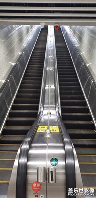 隨手拍