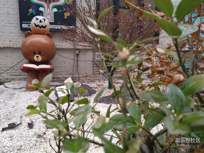 二月北京線下活動回顧