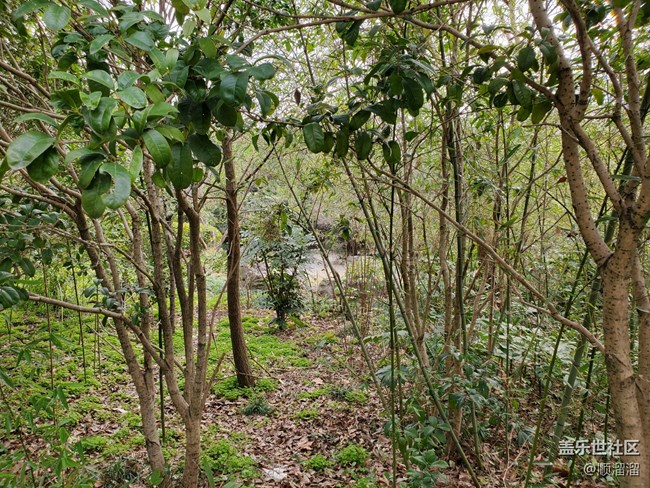 #你好，二月——逛公園