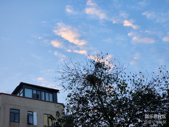 【仰望天空】清晨的天空