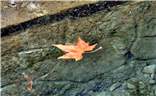 百泉湖早春 