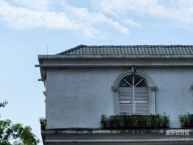 【仰望天空】周末出游隨拍