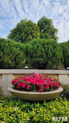 公園景色