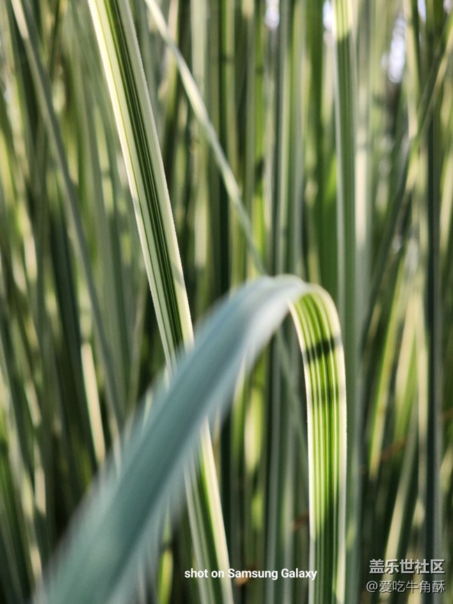 【春日浪漫】萬物可愛