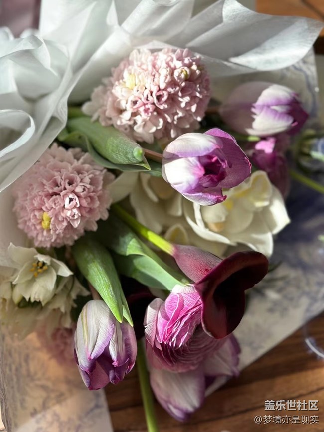 春的希望+兩束鮮花