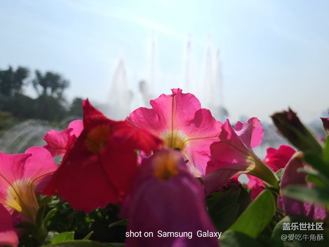 【春日浪漫】萬物可愛