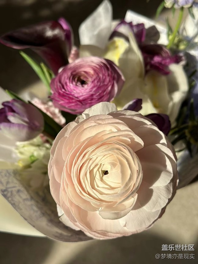 春的希望+兩束鮮花