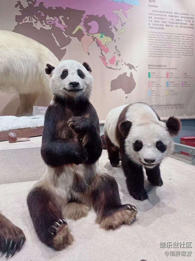 #你好，二月——自然博物館