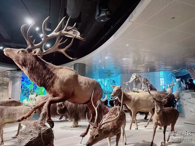 #你好，二月——自然博物館