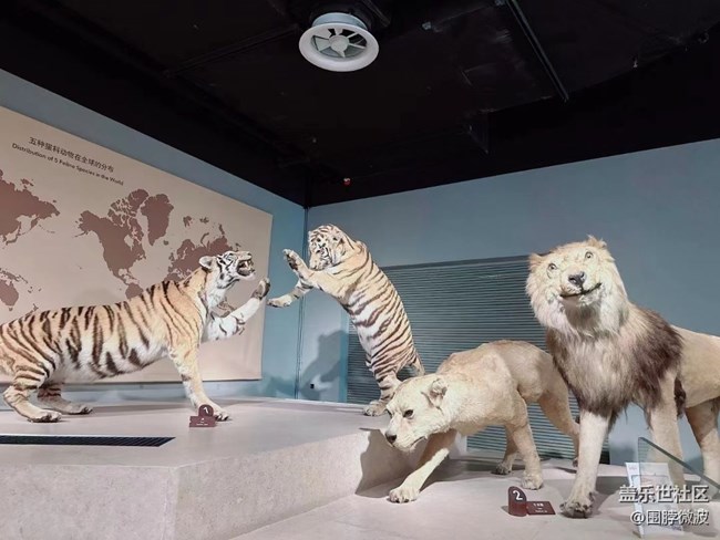 #你好，二月——自然博物館