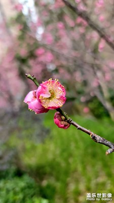 【清淺時光】+ 處處是風(fēng)景