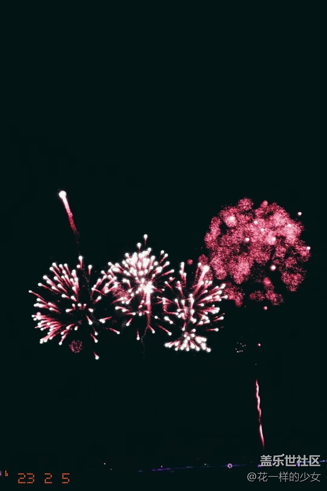 【仰望天空】煙花