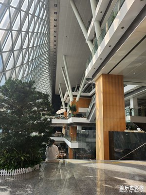 周末在圖書館曬曬太陽看看書