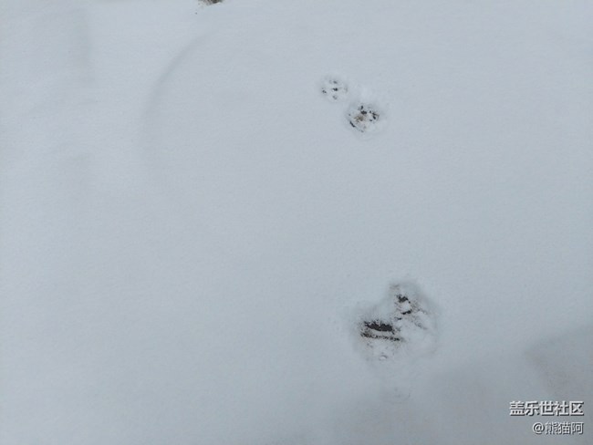 【生活邊角料】最后一場雪