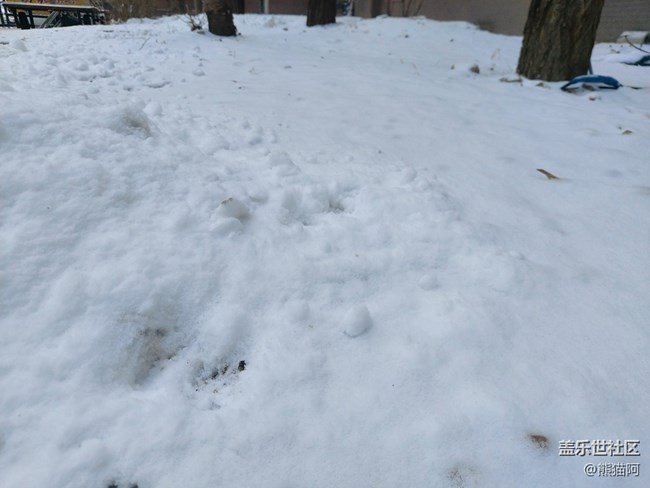 【生活邊角料】最后一場雪