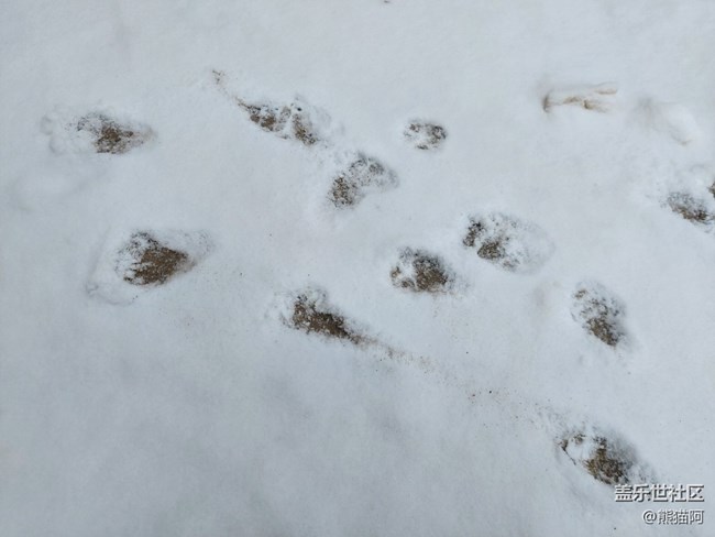 【生活邊角料】最后一場雪