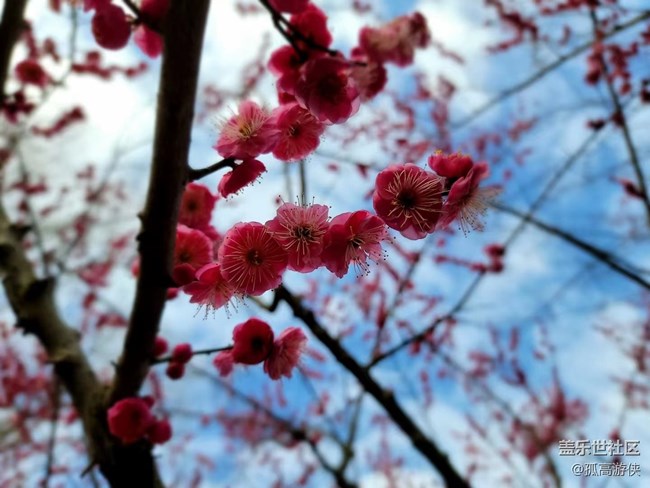 已開獎(jiǎng)【興趣板塊+三月第一期】+春游計(jì)劃 已開獎(jiǎng)【興趣板塊+三月第一期】+春游計(jì)劃