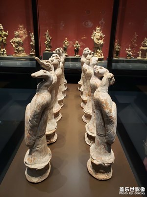 隨便看看