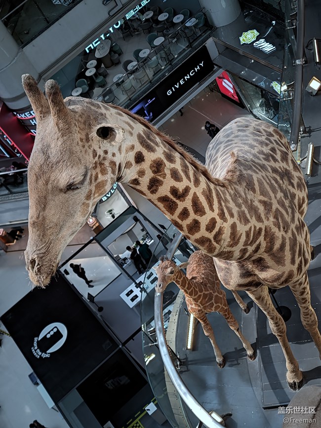 【線下體驗(yàn)三星S23系列】假裝在動(dòng)物園看新品