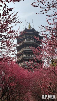 湖南長沙洋湖國家濕地公園