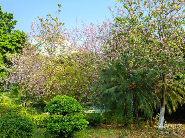 【采集青色時(shí)光】有億點(diǎn)點(diǎn)好看