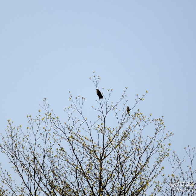 【采集青色時(shí)光】有億點(diǎn)點(diǎn)好看