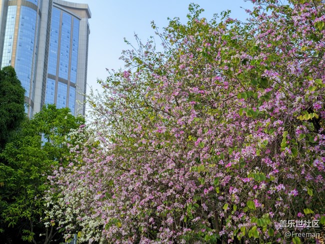 【采集青色時(shí)光】有億點(diǎn)點(diǎn)好看