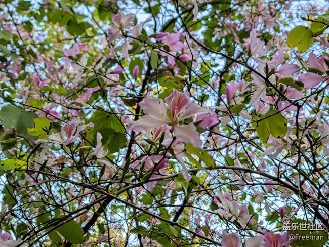 【采集青色時(shí)光】有億點(diǎn)點(diǎn)好看