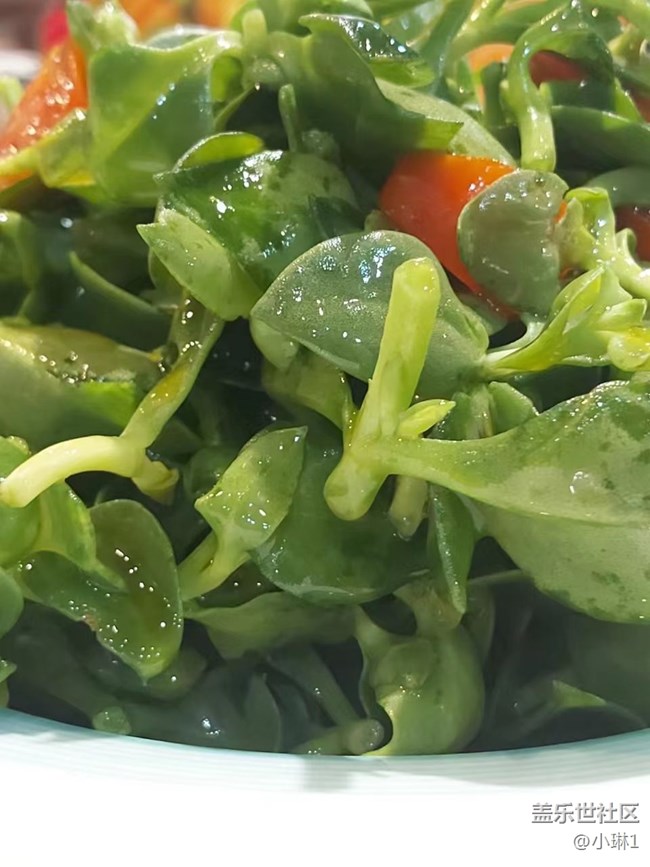 【春的希望】一年之計(jì)在于春