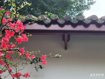 【網(wǎng)紅打卡地】海棠春色