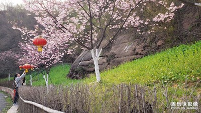 花一開，便有了向往……