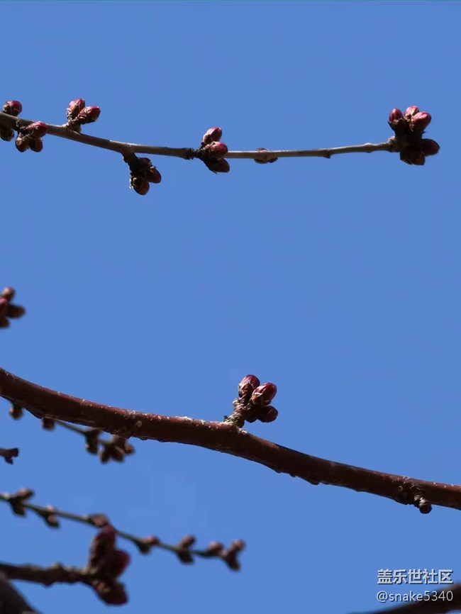 【萬物復蘇】+發(fā)芽了