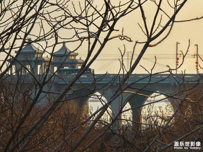 【網(wǎng)紅打卡地】某大橋，某電視塔，某樓