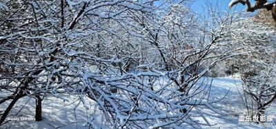 【網(wǎng)紅打卡地】+?公園雪景
