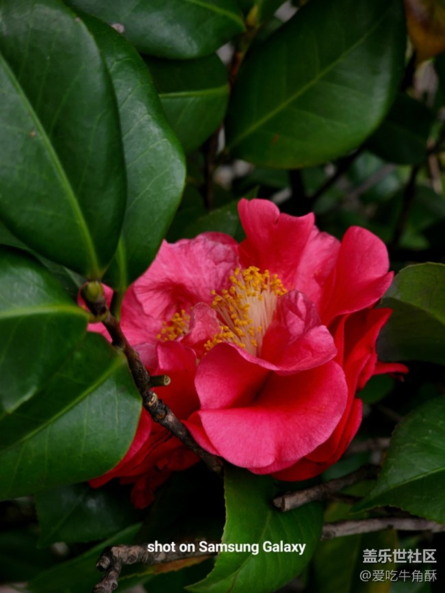 【萬物復(fù)蘇】春的活力