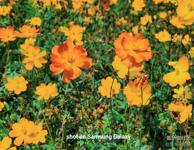 【萬物復(fù)蘇】春的活力