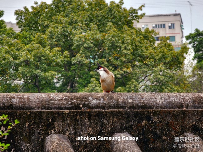 【萬物復(fù)蘇】春的活力