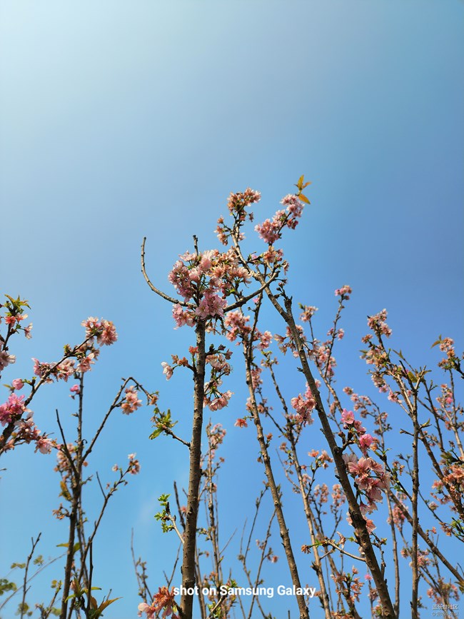 【采集青色時(shí)光】童年的天空