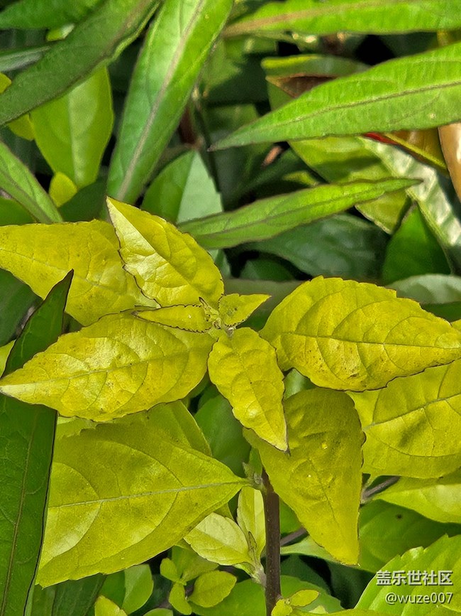 【三星S23系列曬單】我的S23+感受