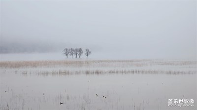 【網(wǎng)紅打卡地】+ 打卡云南曲靖會(huì)澤念湖看黑頸鶴班頭雁