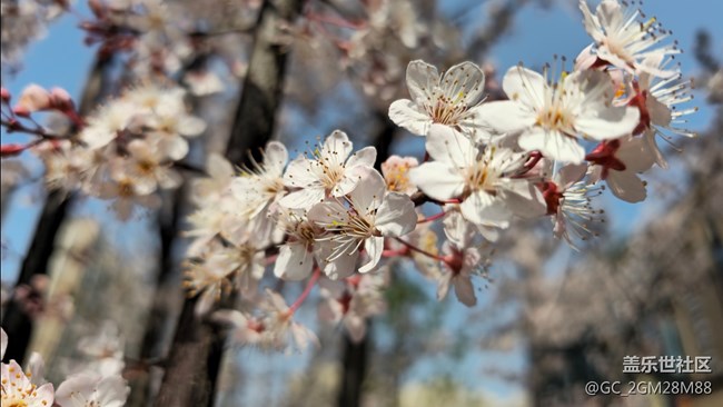 三星S23U，將三星筆記用應用程序鎖定之后，無法息屏快寫！