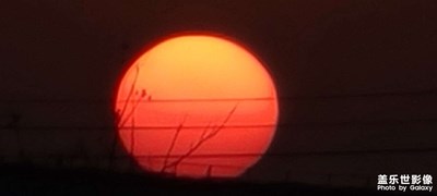 夕陽無限好