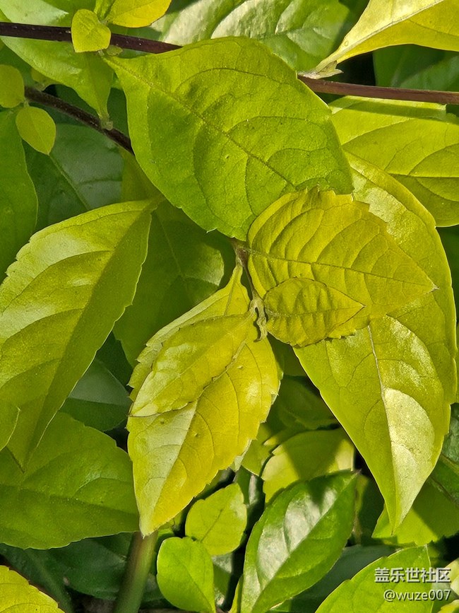 【三星S23系列曬單】我的S23+感受