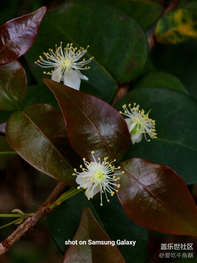 【萬物復(fù)蘇】春的活力