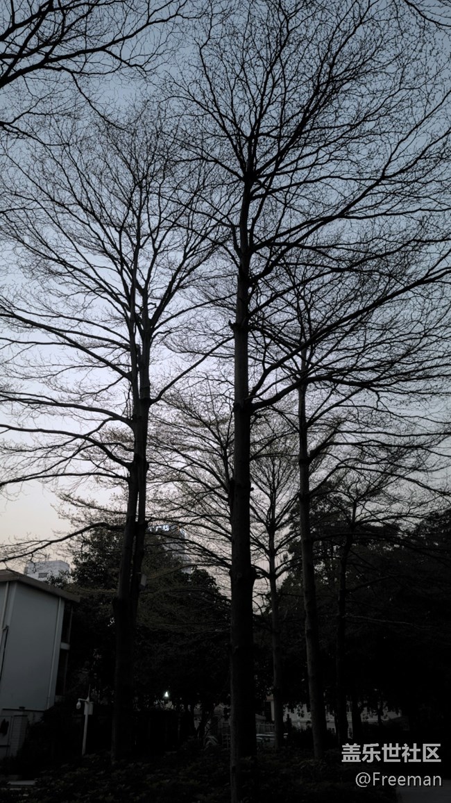 【采集青色時(shí)光】漫步 | 花叢