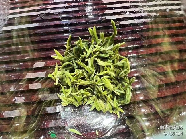【春季霸王餐】+美食美茶